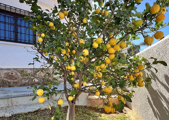 Naranja - Luxury Fuengirola