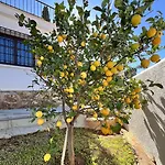 Naranja - Luxury Fuengirola