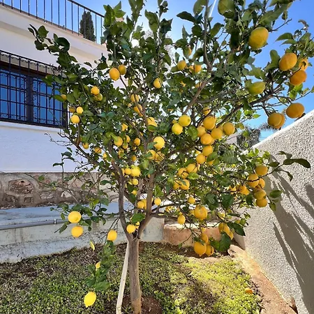 Naranja - Luxury 푸엔히롤라